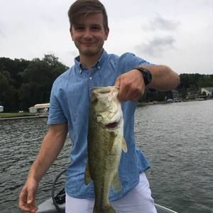 Meet your Posher, Bronson